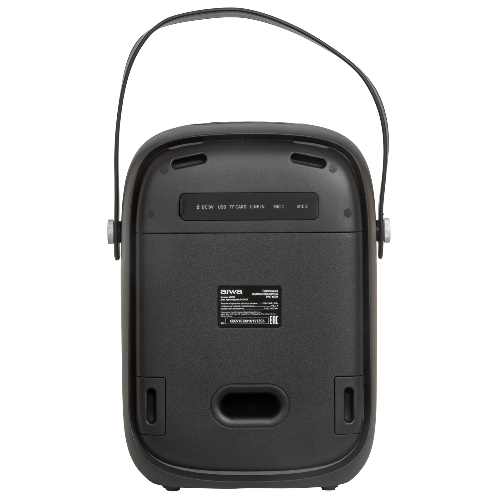 AIWA PAS-Y600
