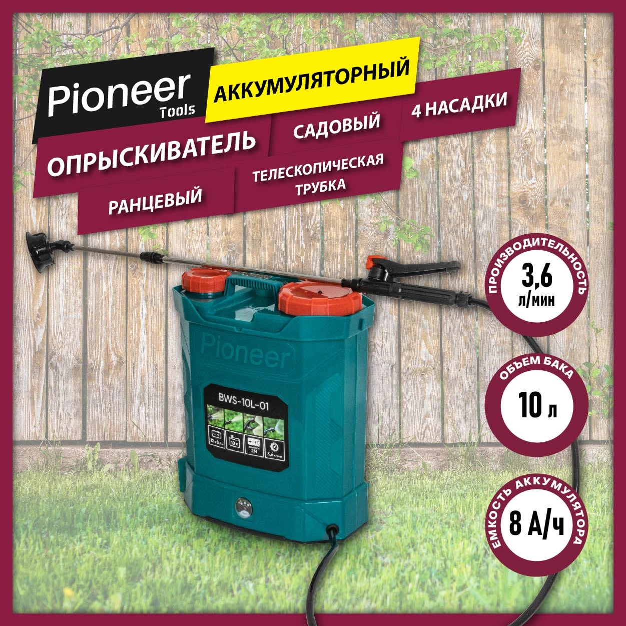 Pioneer BWS-10L-01